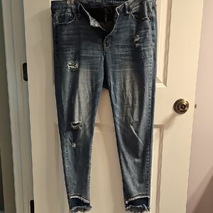 Lane Bryant Distressed Skinny Jeans - Blue